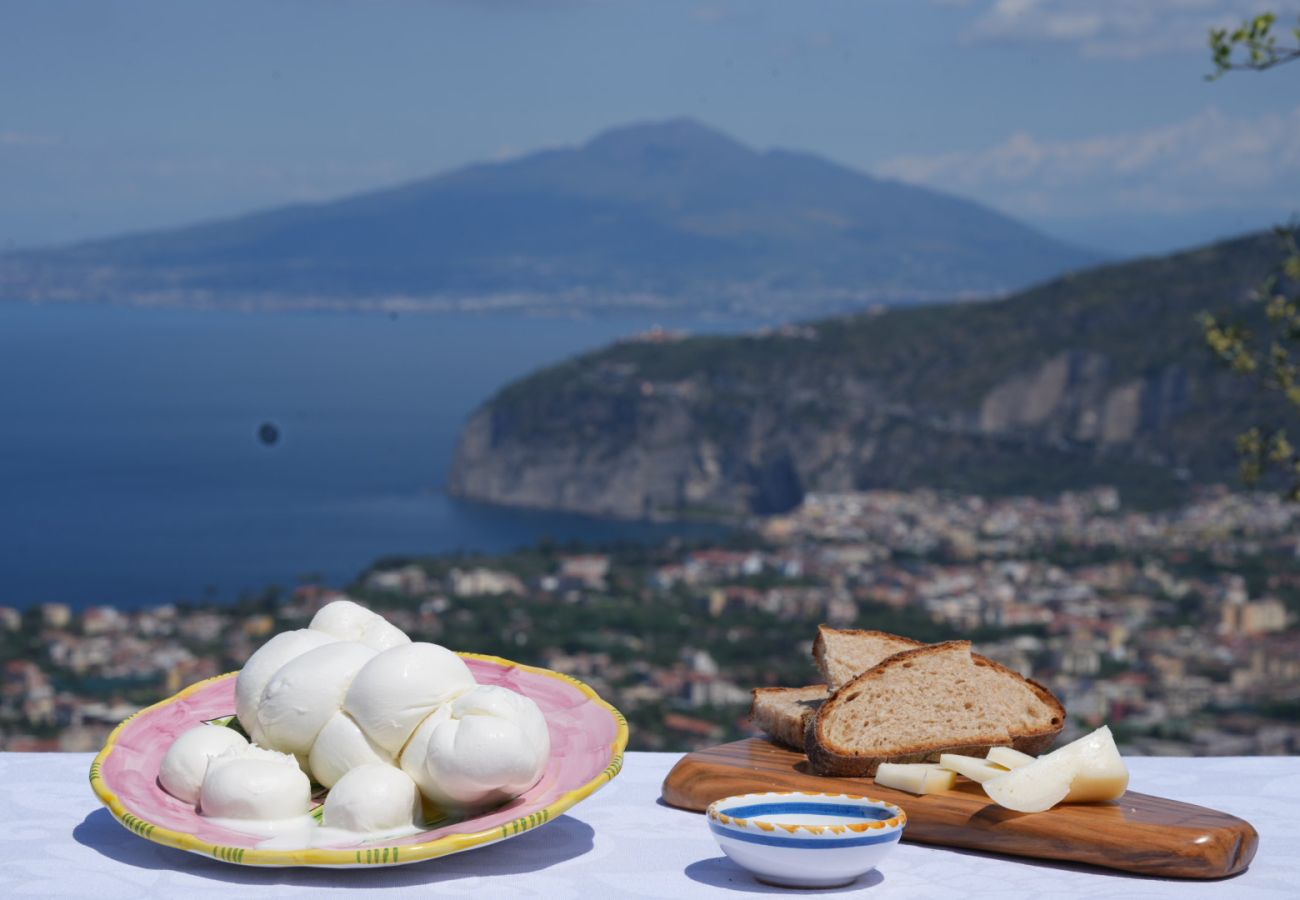 Agriturismo a Sant´Agnello - Nonno Antonino: Positano