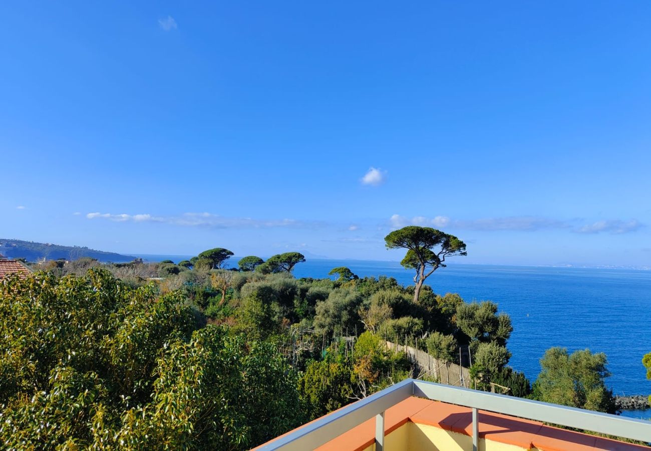 Apartment in Sant´Agnello - The terrace of Villa Preziosa