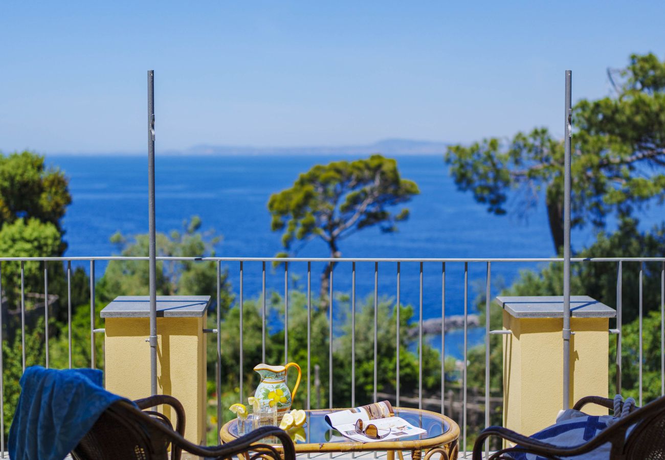 Apartment in Sant´Agnello - The terrace of Villa Preziosa