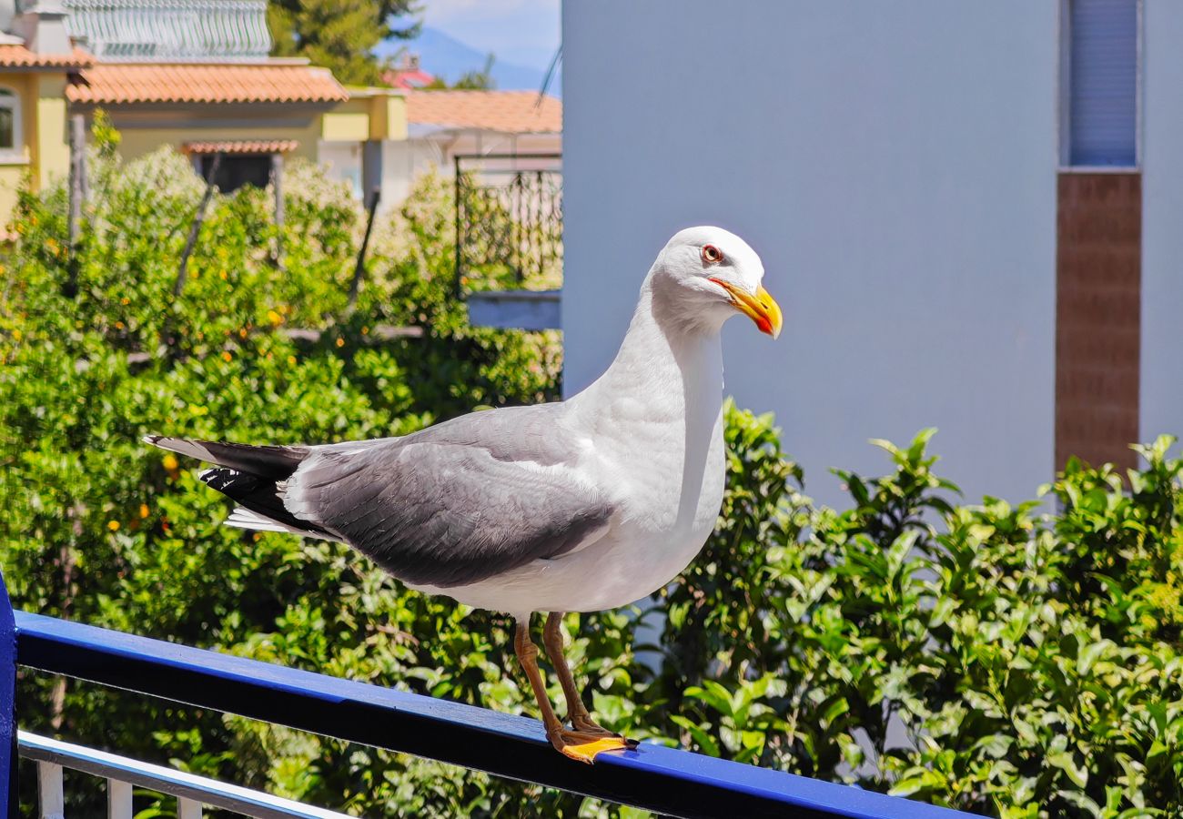 Apartment in Sorrento - Sasà blu Sorrento